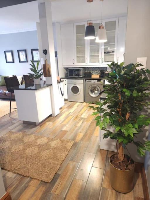 Cape Town, Sea Point, Beautiful 2 Bedroom Apartment @Tucked Away 外观 照片